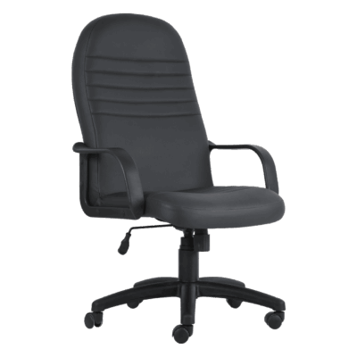 BM 120 Silla ejecutiva de respaldo alto, base de nylon