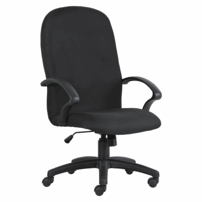 BM 140 sillón ejecutivo de respaldo alto, brazos, base en nylon